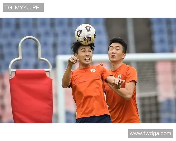 成都排球队灵活性引发热议球迷与专家各执己见探讨争议背后原因