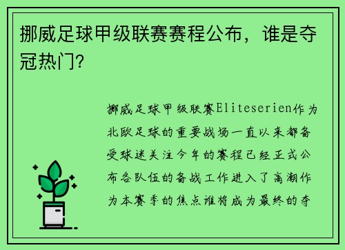 挪威足球甲级联赛赛程公布，谁是夺冠热门？
